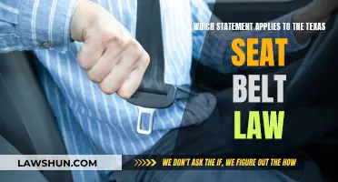 Texas Seat Belt Law: What You Need to Know