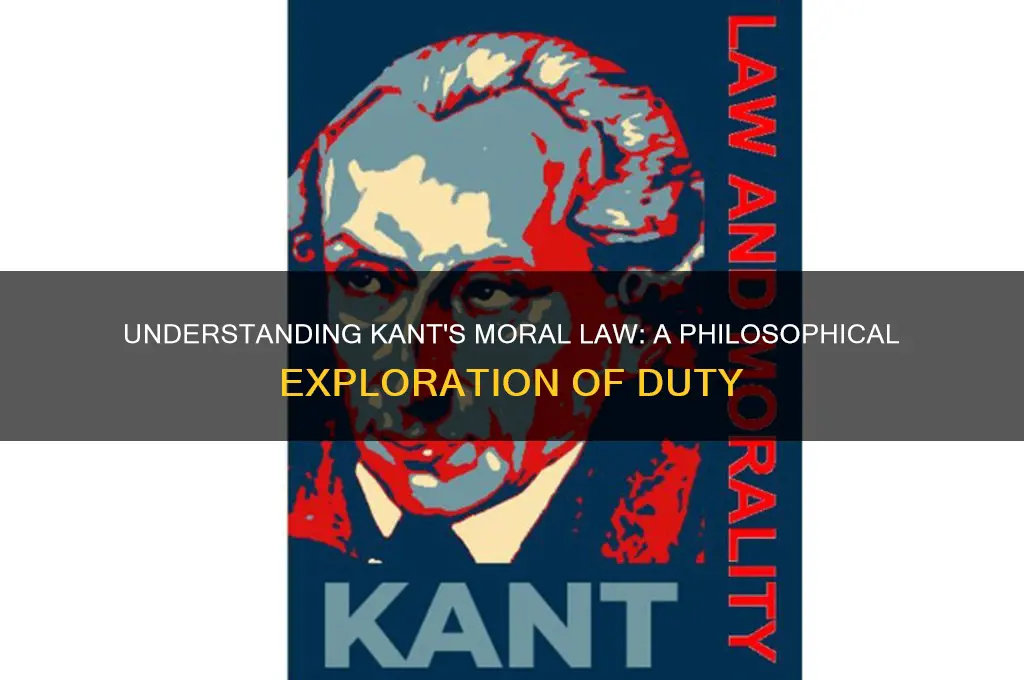 which statement below describes kant