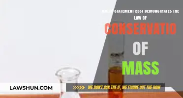 Understanding Conservation of Mass: Key Statements Explained and Applied