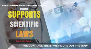 Scientific Evidence: The Foundation Behind Unchanging Scientific Laws Explained