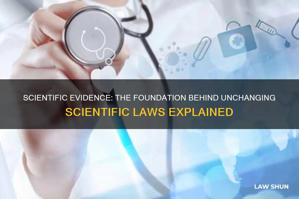 which statement best describes why scientific evidence supports scientific laws