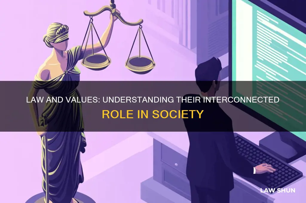 which statement best explains the relationship between law and values