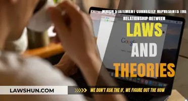 Understanding the Link: Laws vs. Theories in Scientific Frameworks