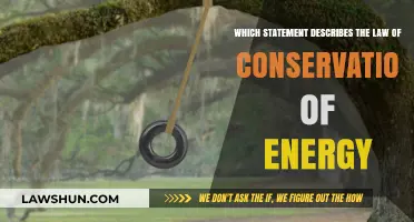 Understanding the Law of Conservation of Energy: A Fundamental Principle