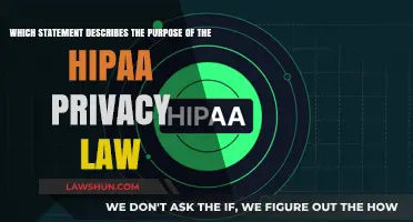Understanding HIPAA: Protecting Patient Privacy and Confidentiality in Healthcare