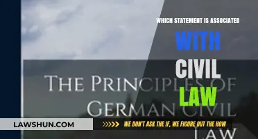 Understanding Civil Law: Key Statements and Their Legal Significance