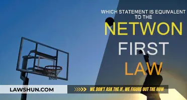 What is Newton's First Law Equivalent To?