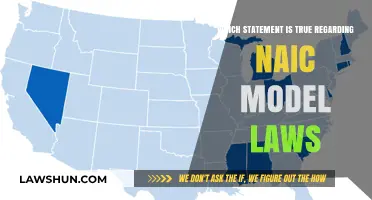 Understanding NAIC Model Laws: Key Truths and Common Misconceptions