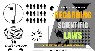 Scientific Laws: Unraveling the Truth Behind Universal Principles