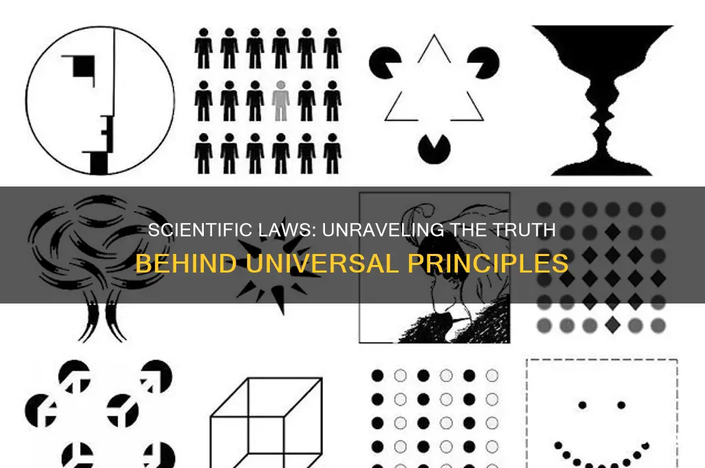 which statement is true regarding scientific laws