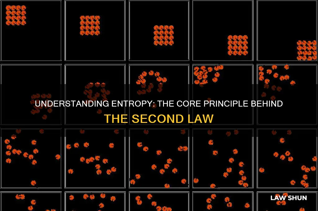 which statement relates most directly to the second law