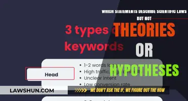 Scientific Laws vs. Theories: Key Statements That Define Laws