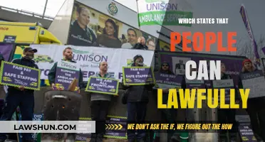 The Right to Lawful Action