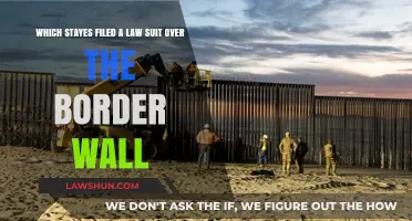 Border Wall Legal Battle: Which States Sued Over Construction?