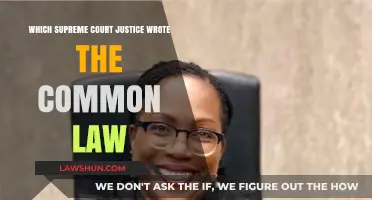 Who Authored Common Law? Exploring Supreme Court Justices' Influence