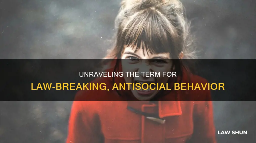 which term describes antisocial behavior that includes law-breaking