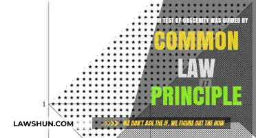 Common Law Obscenity Test: Defining Indecent Speech