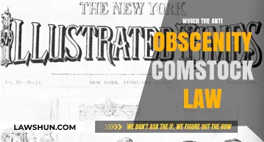 The Comstock Law: Anti-Obscenity Legislation's Impact on Free Speech