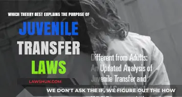 Juvenile Transfer Laws: Unraveling the Theory Behind Their Purpose