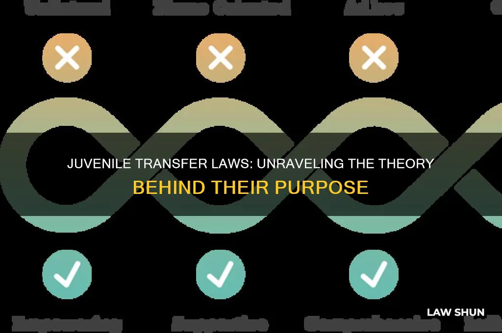 which theory best explains the purpose of juvenile transfer laws
