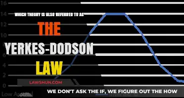 Understanding the Yerkes-Dodson Law: The Inverted-U Theory Explained
