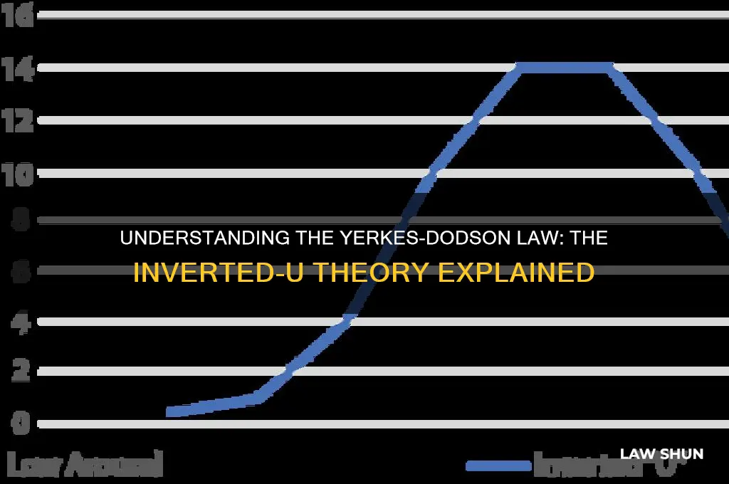 which theory is also referred to as the yerkes-dodson law