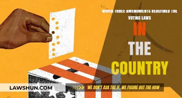 Transformative Amendments: Redefining Voting Rights in American Democracy