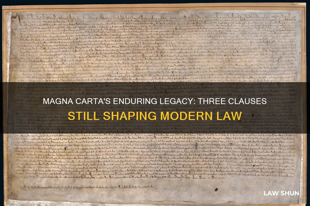 which three clauses of the magna carta are still law