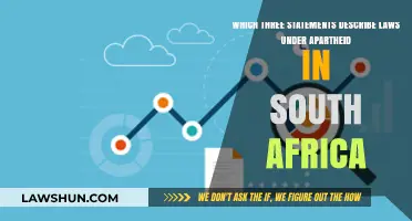 Apartheid Laws in South Africa: Three Key Statements Explained