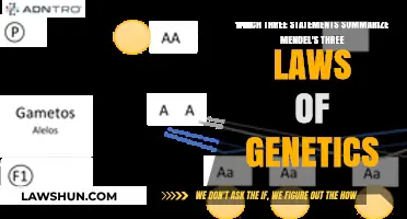 Understanding Mendel's Laws: Key Principles of Genetic Inheritance Explained