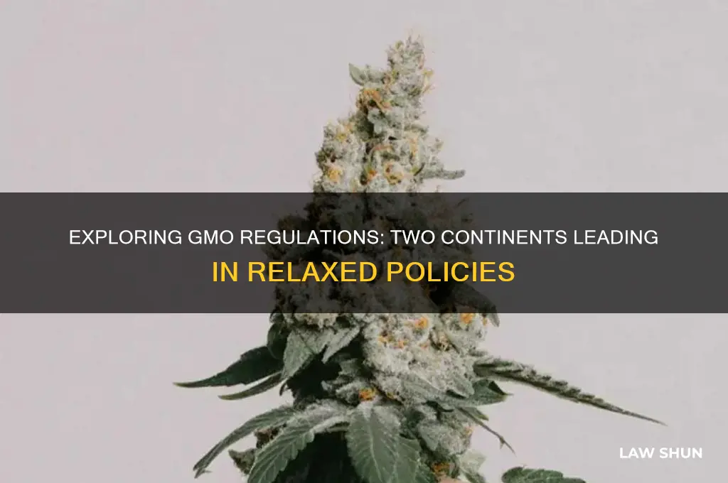 which two contintents have the most relaxed laws on gmo