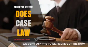 Case Law: Understanding the Court Hierarchy
