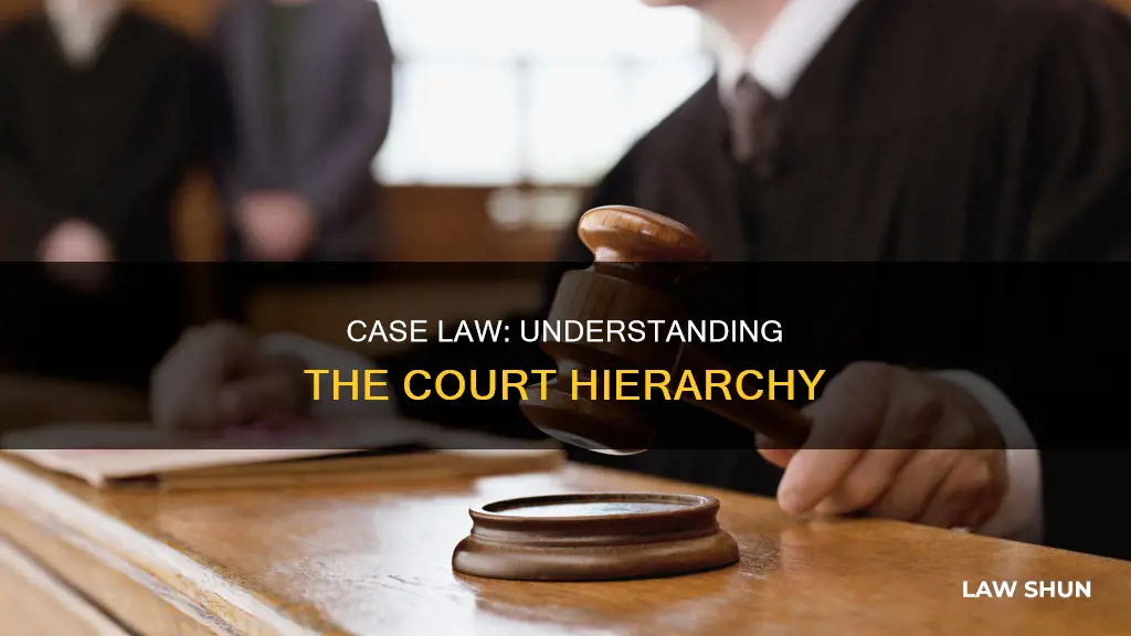 which type of court does case law