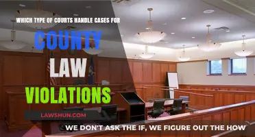 County Law Violations: Which Courts Handle These Cases?