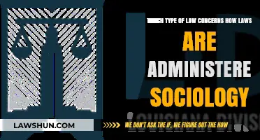 Understanding Administrative Law: The Sociology of Legal Implementation and Practice