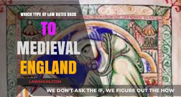 Medieval England's Legal Legacy: The Enduring Roots of Common Law