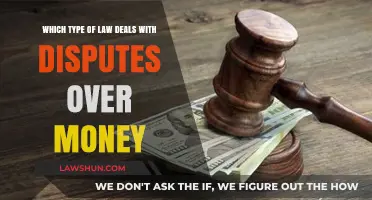 Understanding Financial Disputes: The Role of Civil Litigation in Money Conflicts
