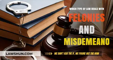 Understanding Criminal Law: Felonies, Misdemeanors, and Legal Consequences