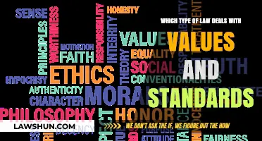 Understanding Moral and Ethical Standards in Legal Practice