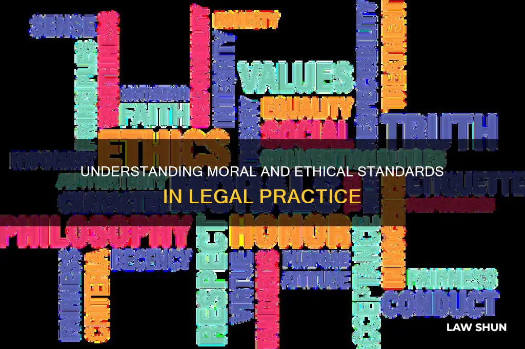 which type of law deals with values and standards