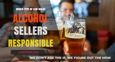Understanding Dram Shop Laws: Alcohol Sellers' Liability Explained