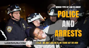 Understanding Criminal Procedure Law: Police Powers and Arrest Protocols Explained