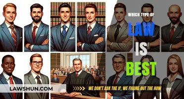 Choosing the Right Legal Path: Which Law Specialization Fits You Best?