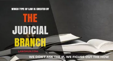 Judicial Branch: Creating Law and Order