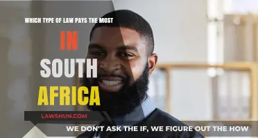 Top-Paying Legal Careers in South Africa: Which Field Leads?