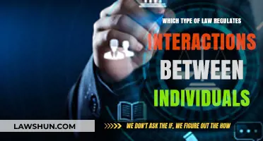 Understanding Private Law: Governing Personal Interactions and Individual Rights