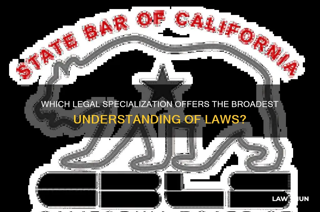which type of lawyers know the most about laws