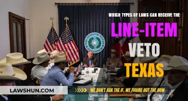 Texas Veto Power: Which Laws Can Be Rejected?