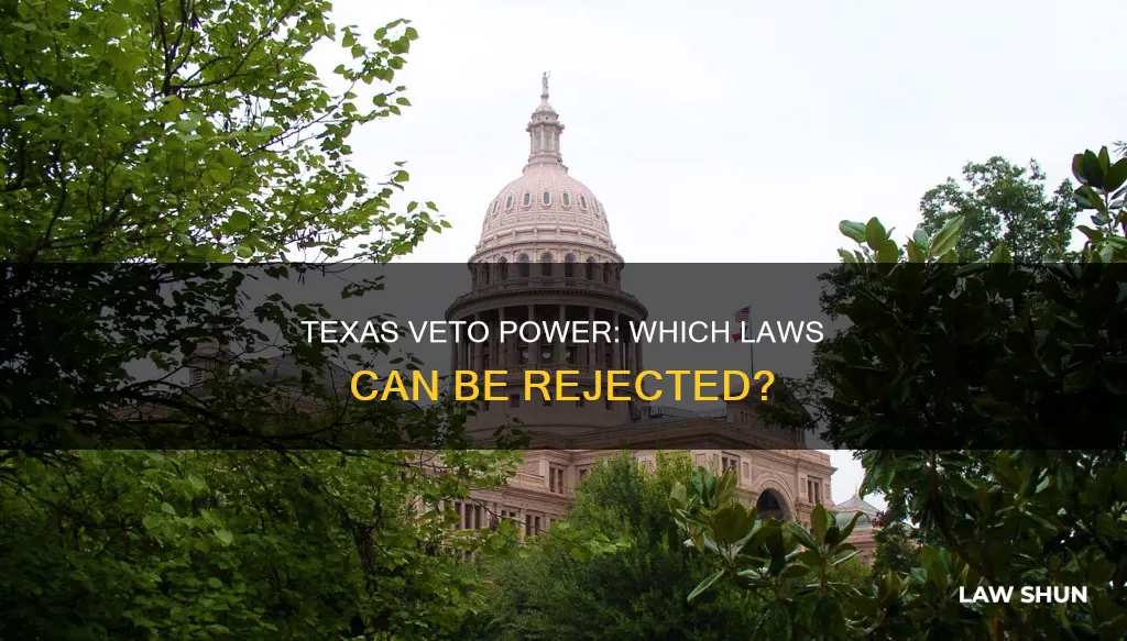 which types of laws can receive the line-item veto texas