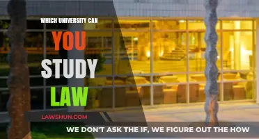 Best Law Schools: Where to Study Law?